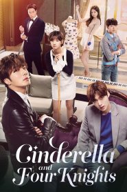 Cinderella and Four Knights (2016)